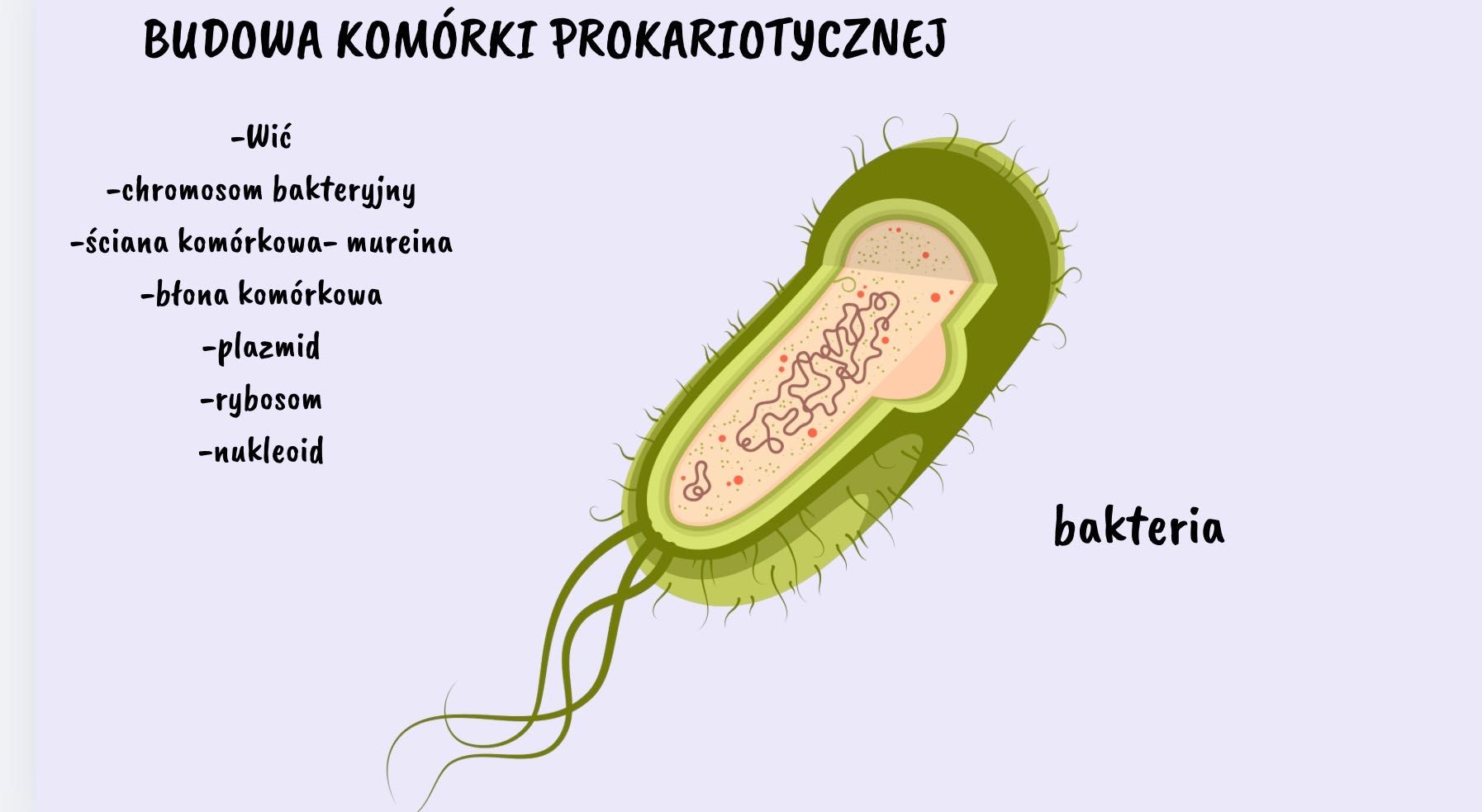 Korepetycje Biologia - zapisy na nowy rok (TEŻ WAKACJE)