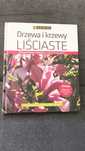 Drzewa i krzewy lisciaste