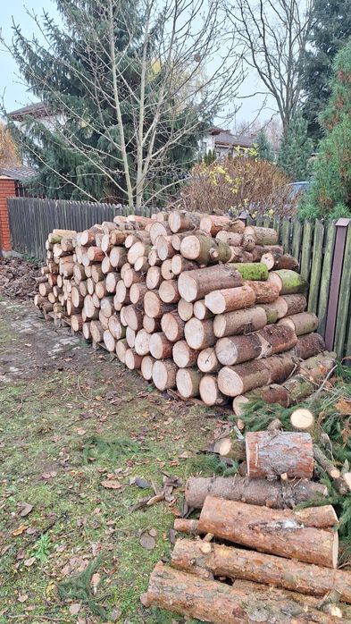 Drzewo drewno opałowe na sprzedaż Rezerwacja