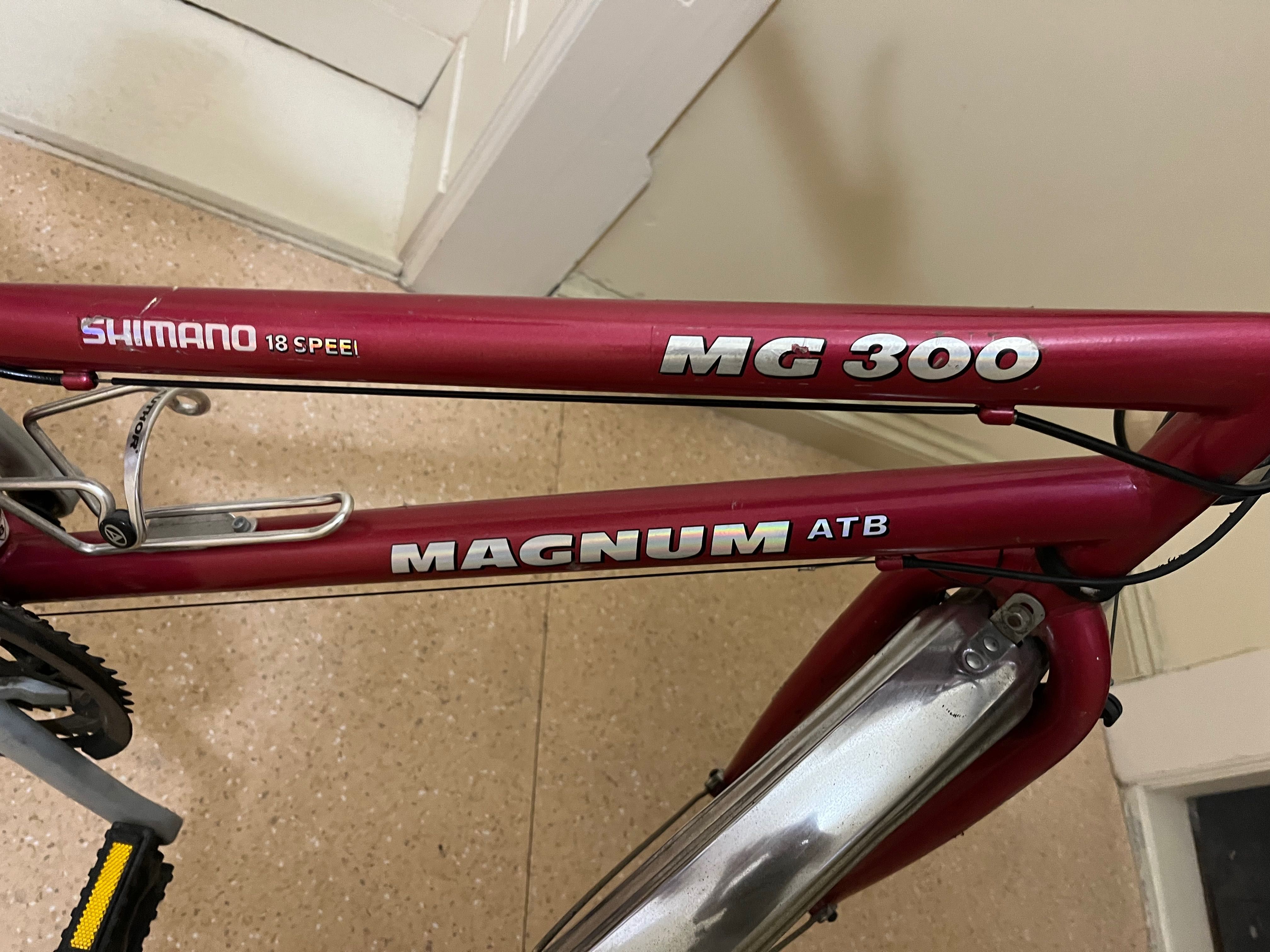 Rower Magnum 300