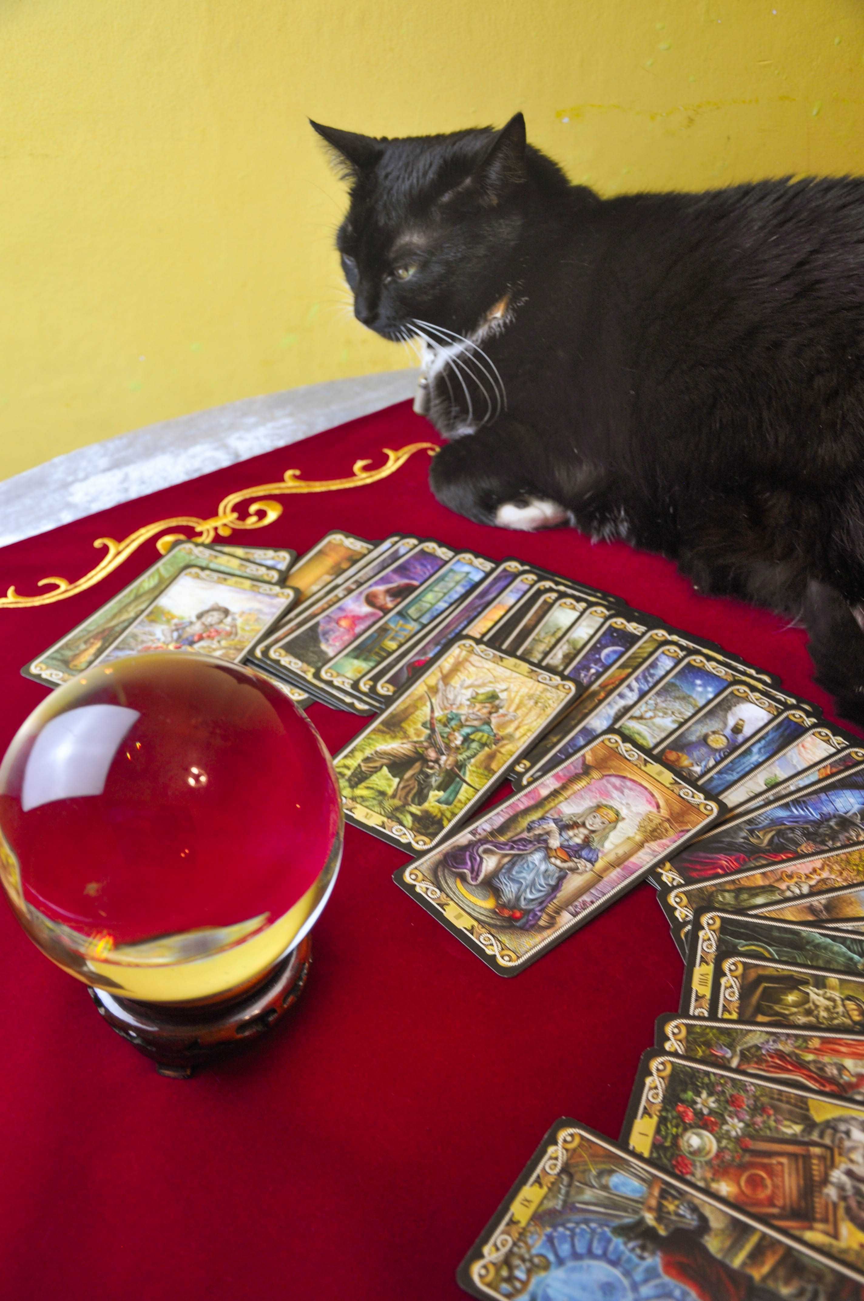 Jasnowidz Tarot Anna Świerczewska Wróżby Indywidualne  Przez Telefon