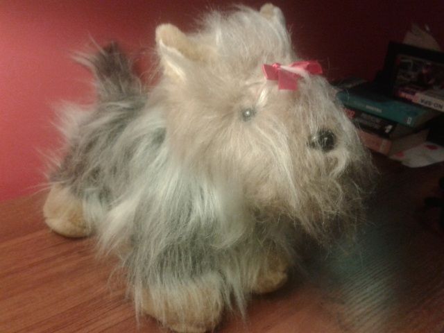 Terier szkocki - interaktywny piesek Wrocław Psie Pole Fabryczna