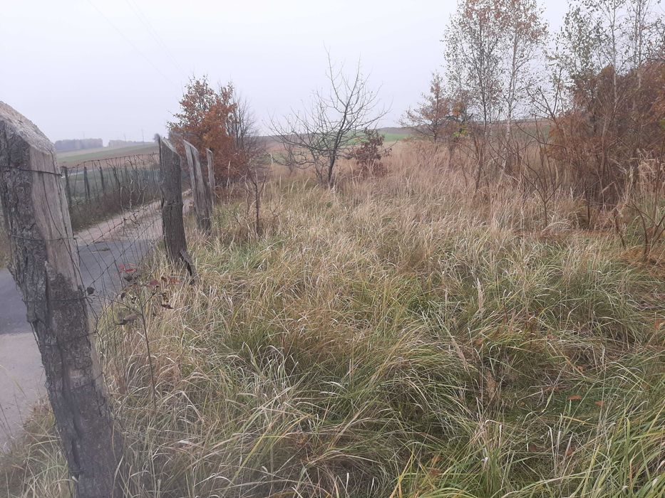 Pierzchno działka budowlana