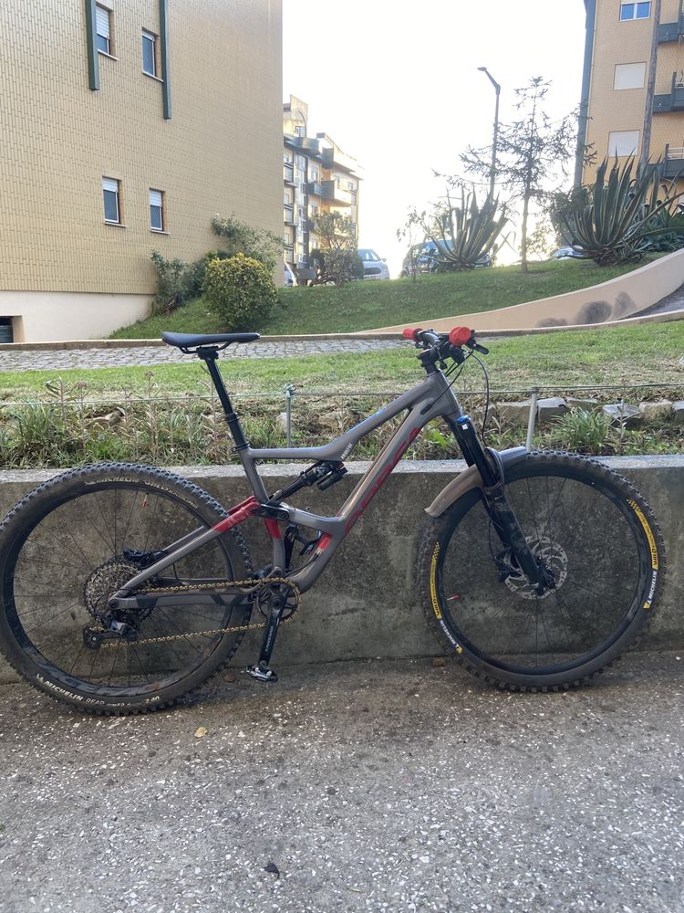 Orbea occam