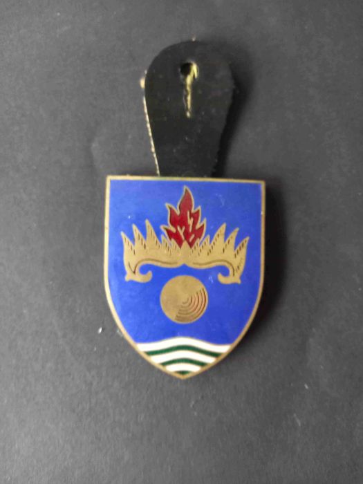 Crachás militares - Coleção - C