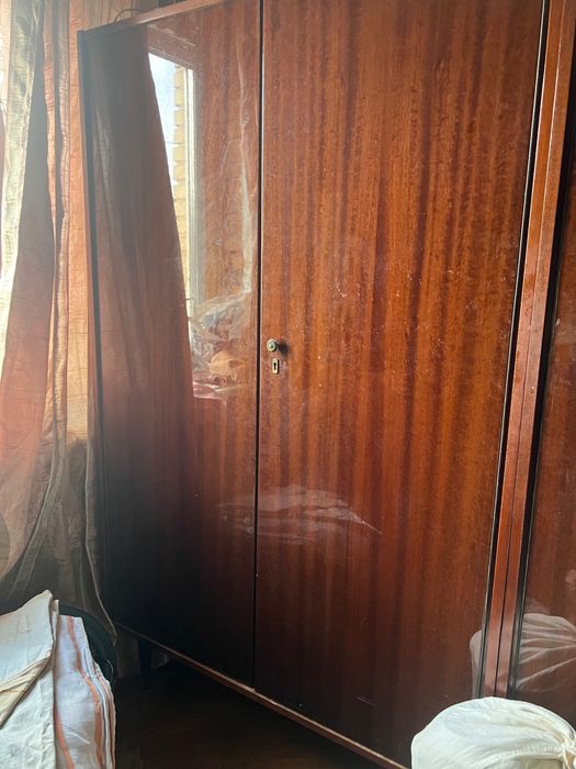 Шафа дерево бу часів ссср