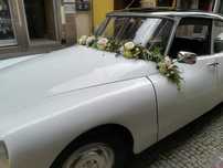 Aluguer de carro classico Carocha e Boca de sapo