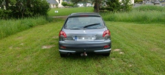 Peugeot 206+ manual