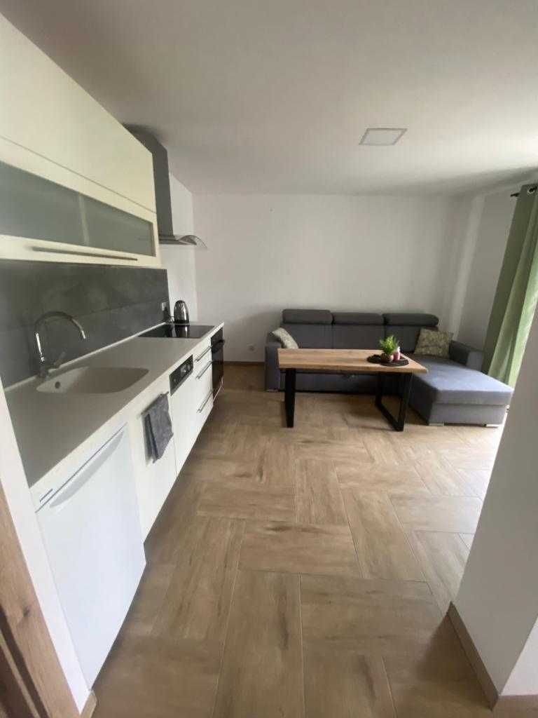 Apartamenty JENDRYCÓWKA  Korbielów. MAJÓWKA Wolne terminy