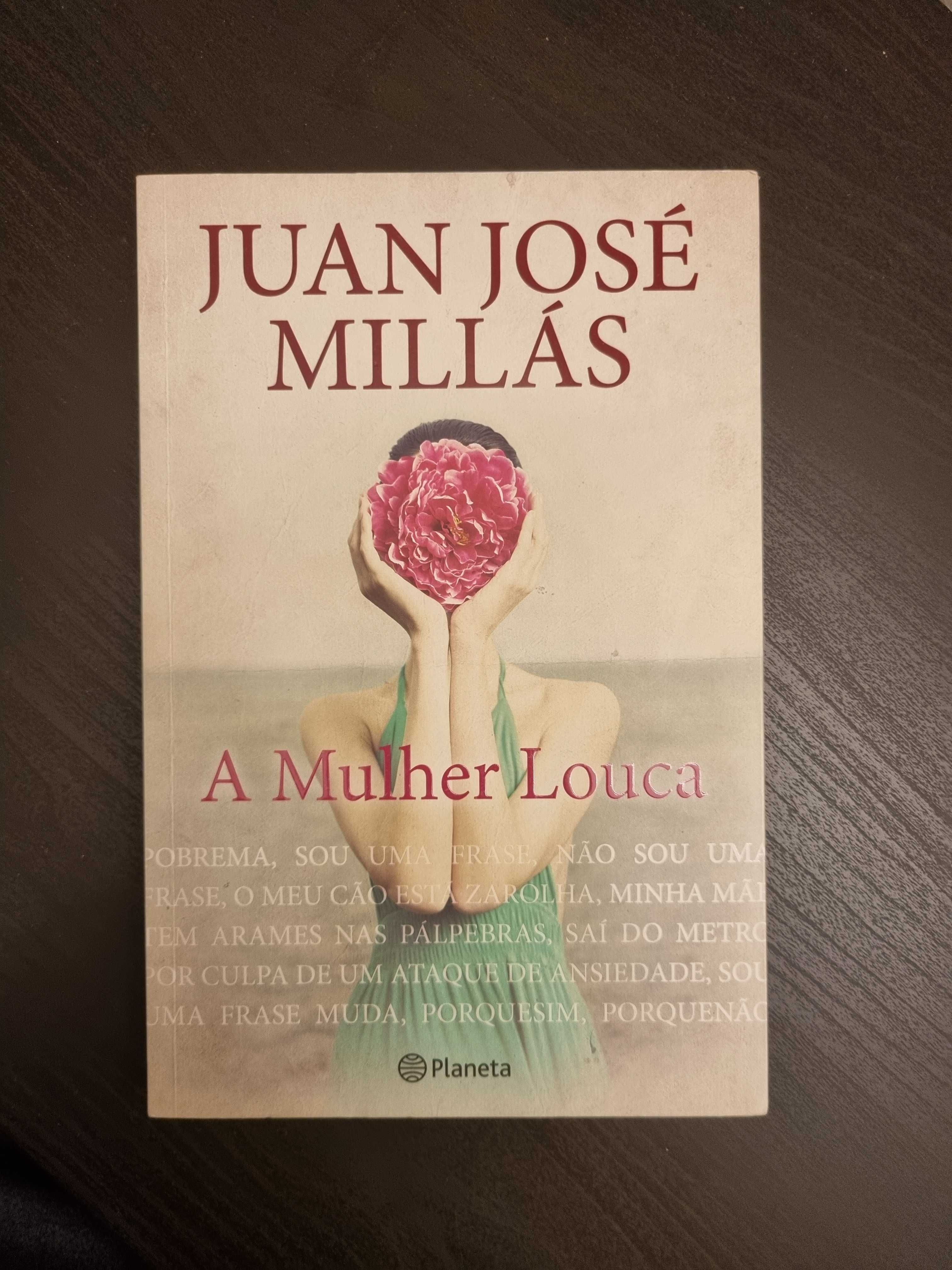 A mulher Louca - Juan José Millas