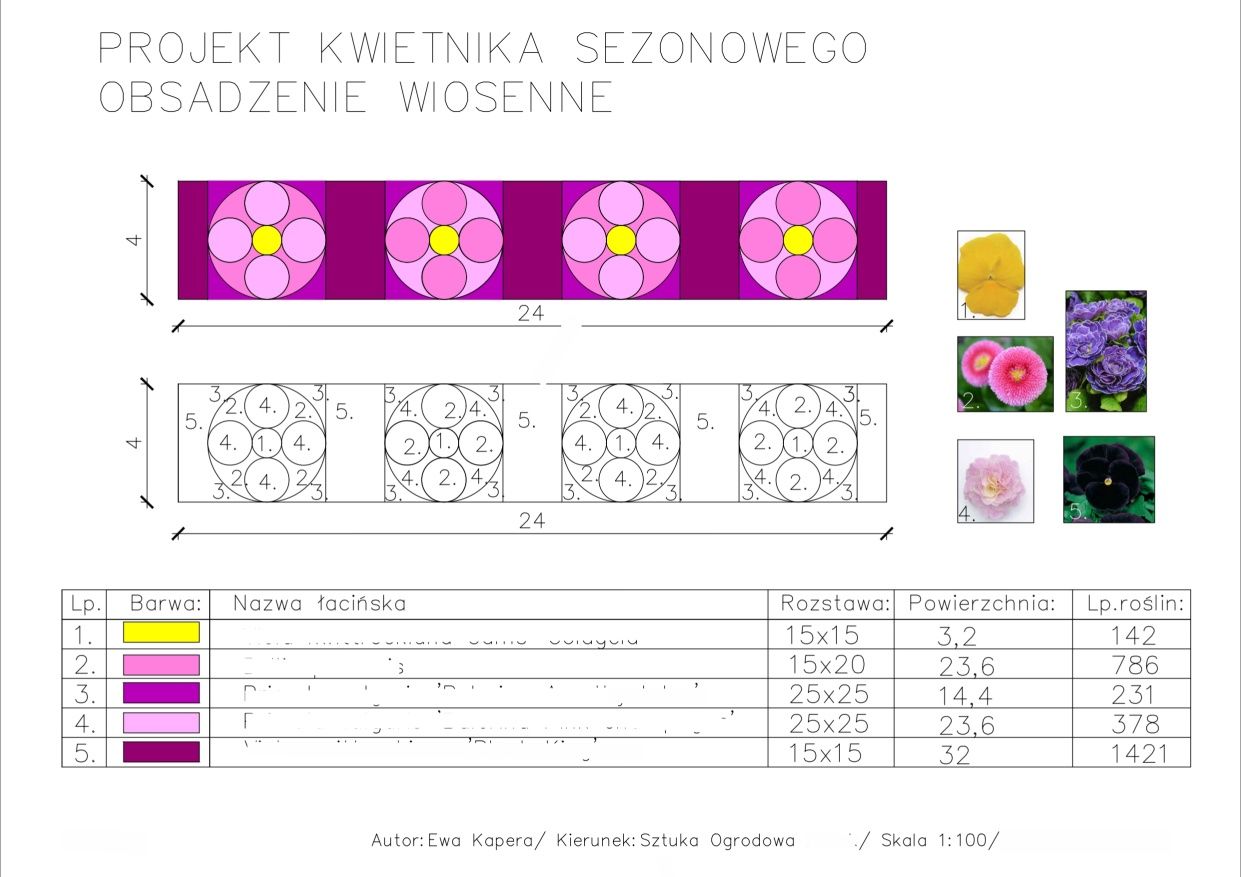 Projekt ogrodu, rabat ,kwietników sezonowych oraz donic