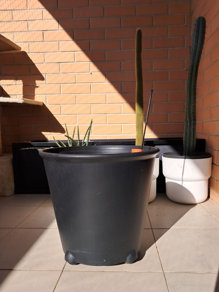 Vaso com indicador e rega auto-regulada