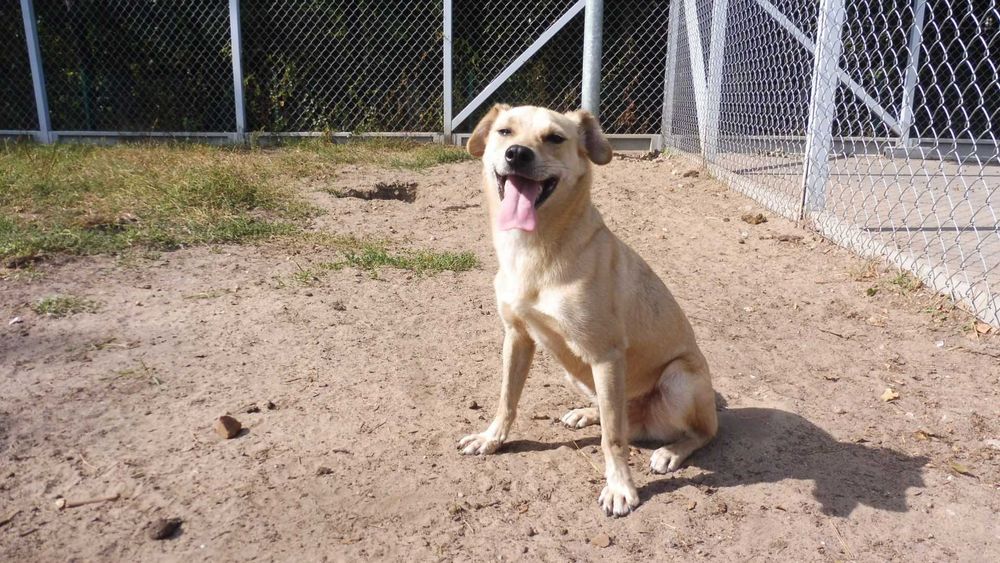 Rozbrykany Tymianek potrzebuje stabilnego domku na już