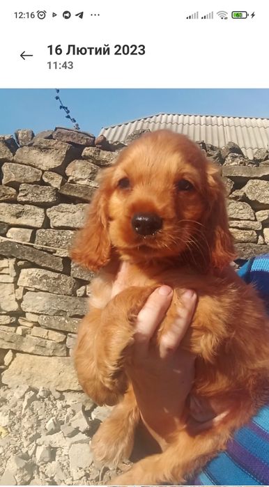 Залишилася шикарна дівчинка