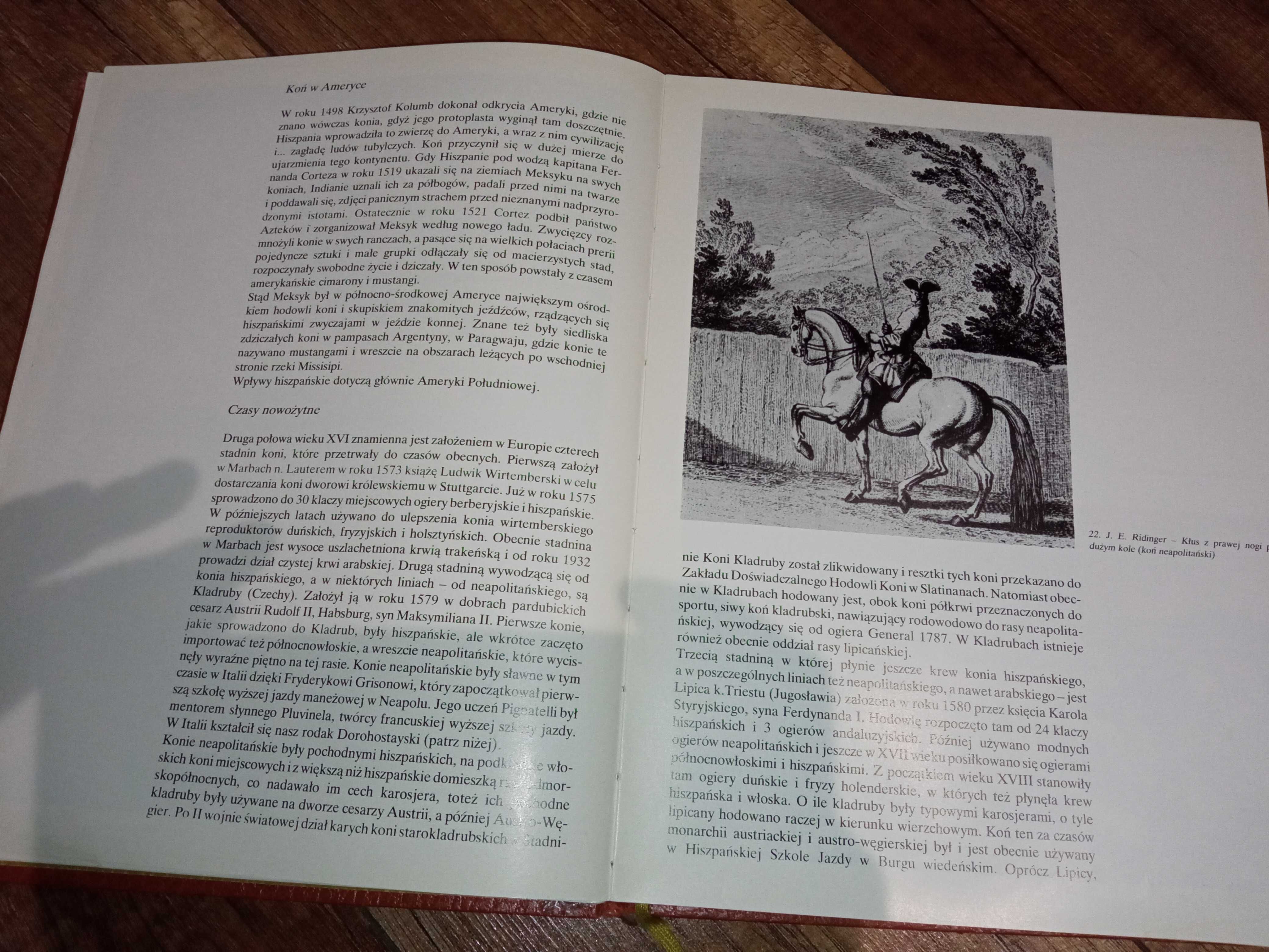 Hipologia dla wszystkich, Jan Grabowski