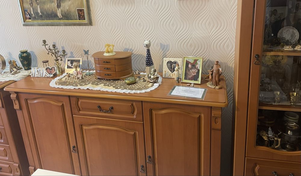 Meble do salonu solidne