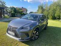 Lexus NX LEXUS NX300H, serwis, gwarancja