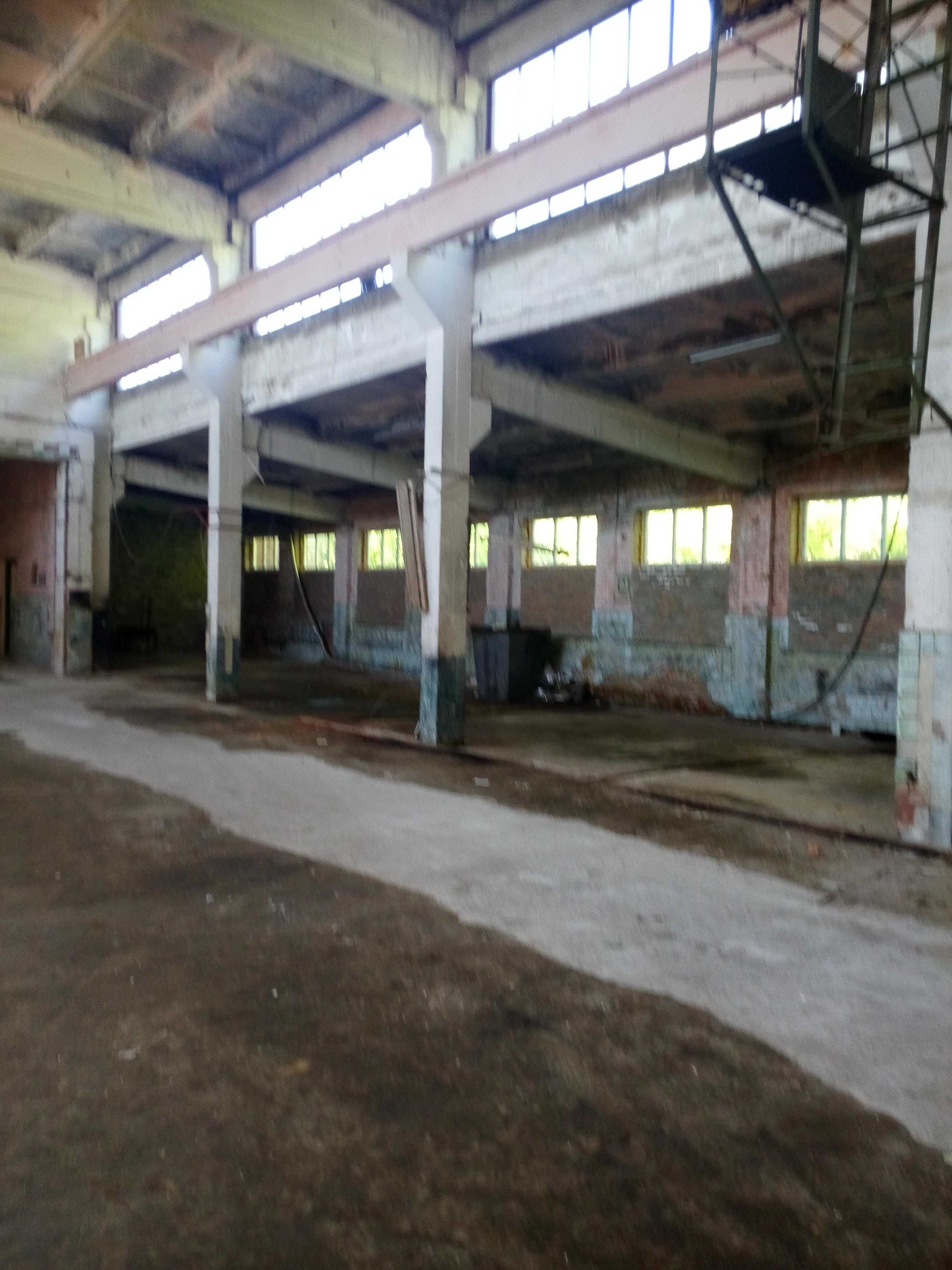 Нежитлове приміщення виробничо складське  1000м.кв.