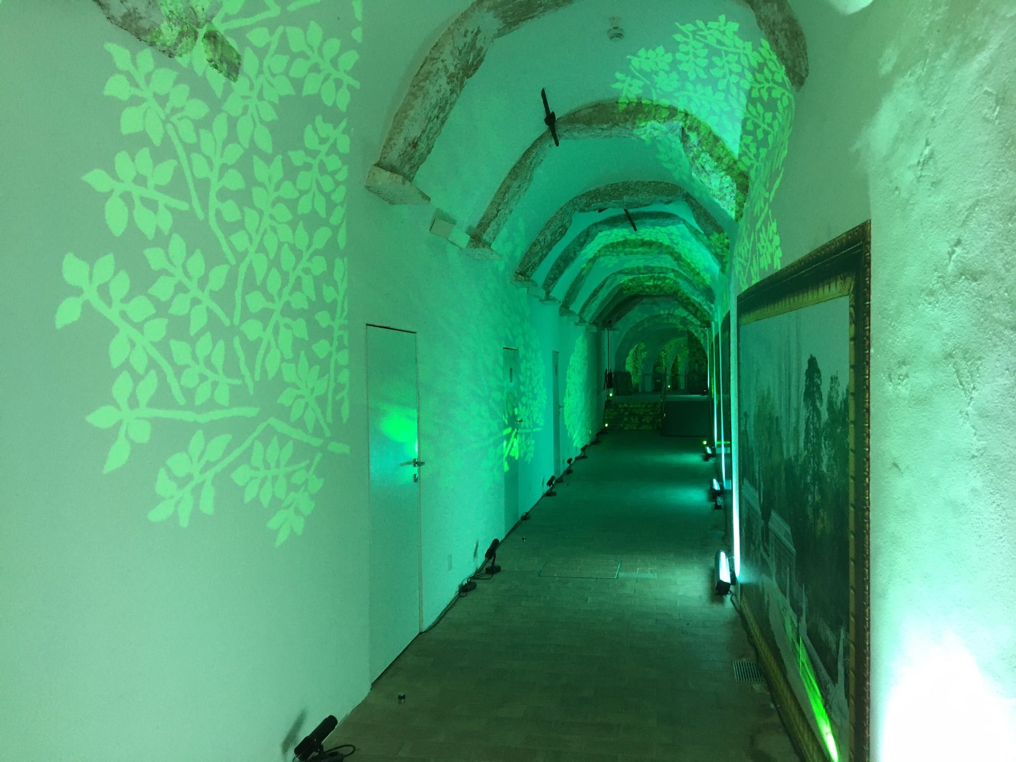 24 projetores de led logo gobo -como novos - gobos verde floresta