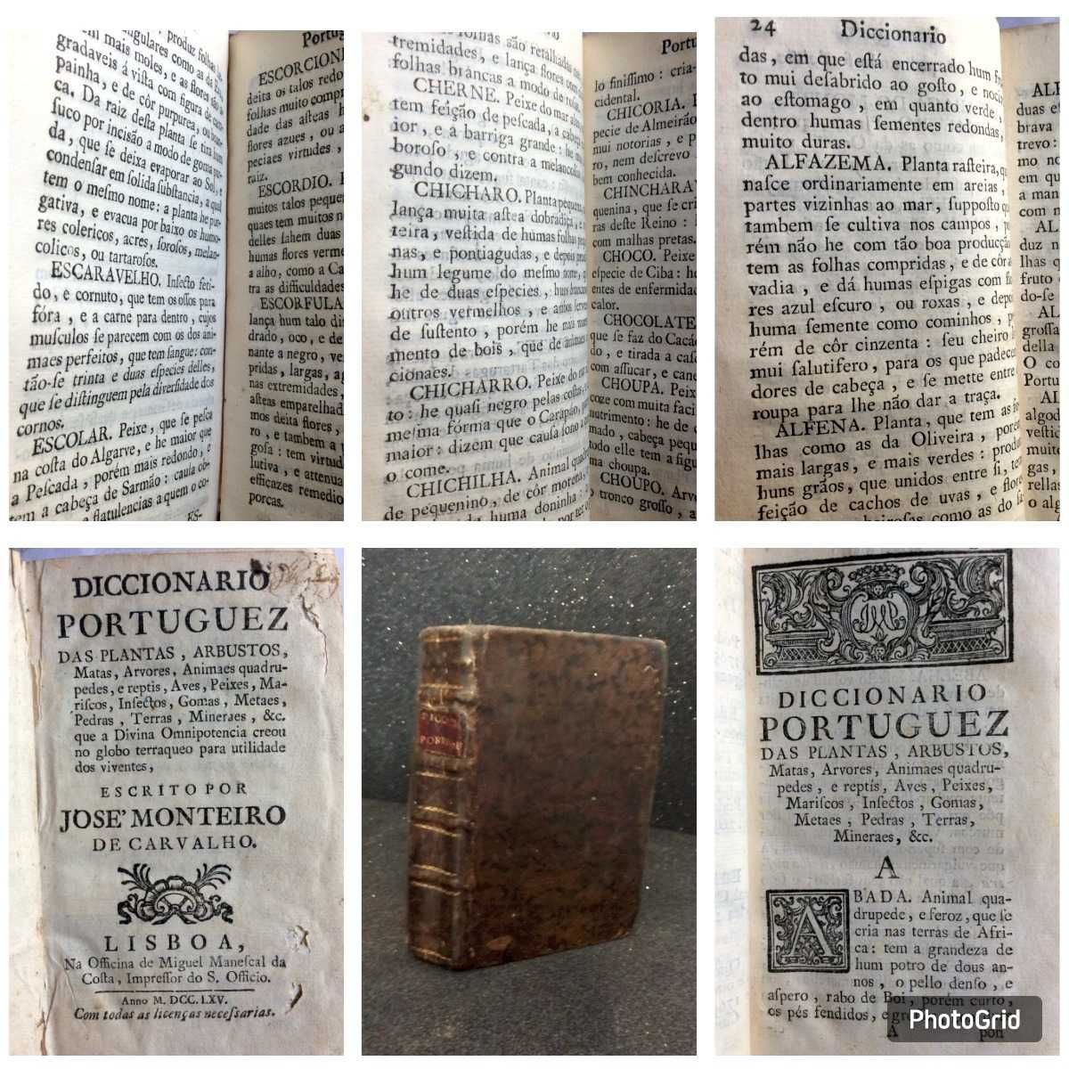 4 exemplares de extrema raridade. Séc. XVI, XVII, XVIII. Lote 1