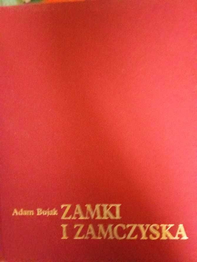 Zamki i zamczyska - Adam Bujak