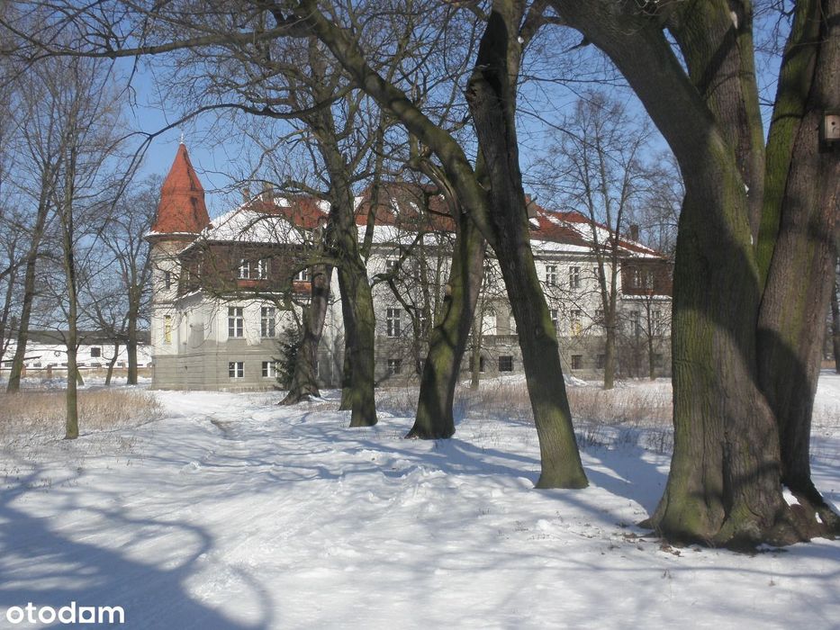 Dotacja na remont!!!Pałac 1300m2/park 4ha/blisko S-5 40 km do Poznania