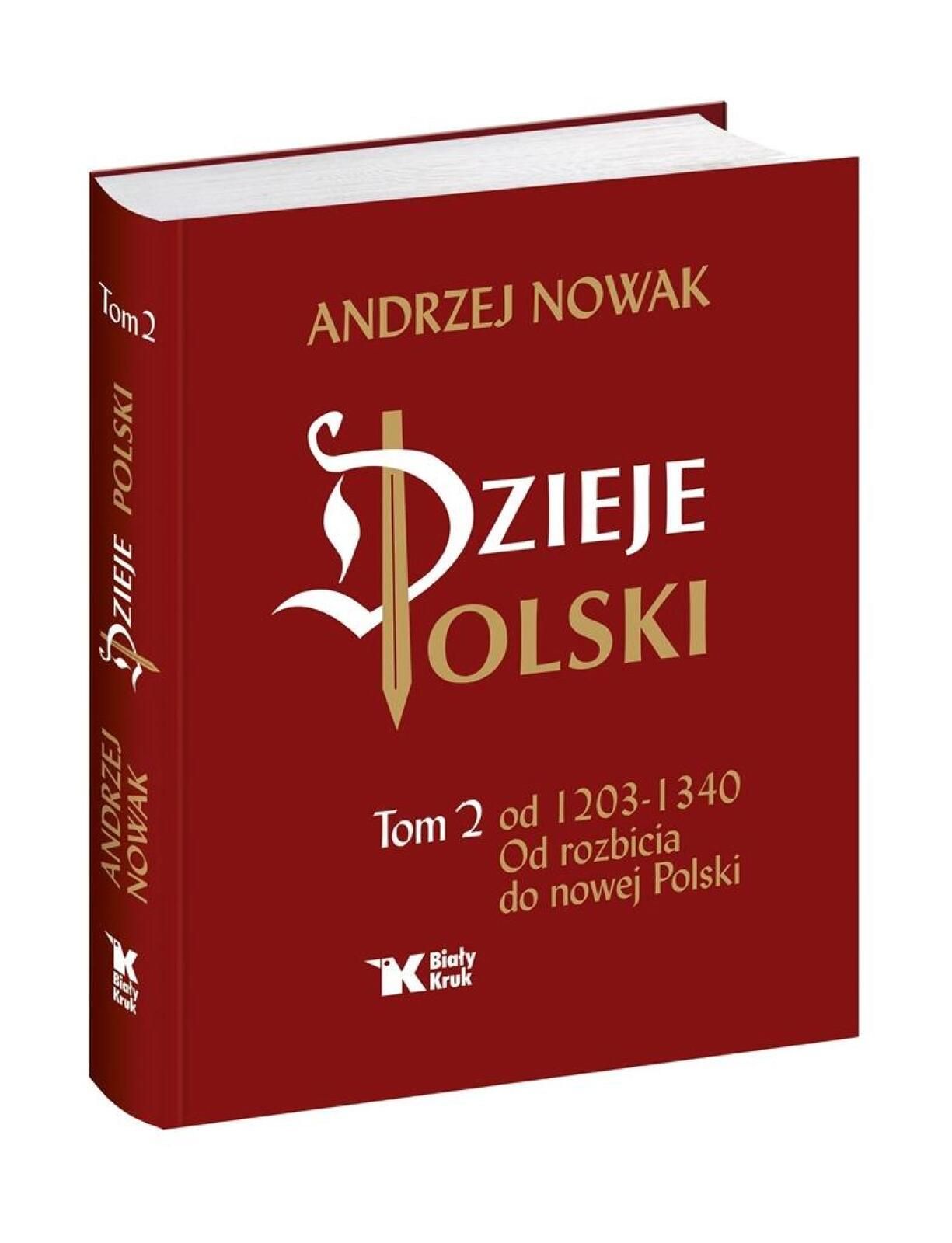 Dzieje Polski. Tom 2. Od rozbicia do nowej Polski Biały Kruk Andrzej