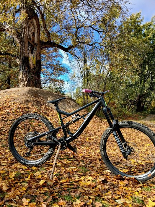 Rose Soul Fire 2023 L