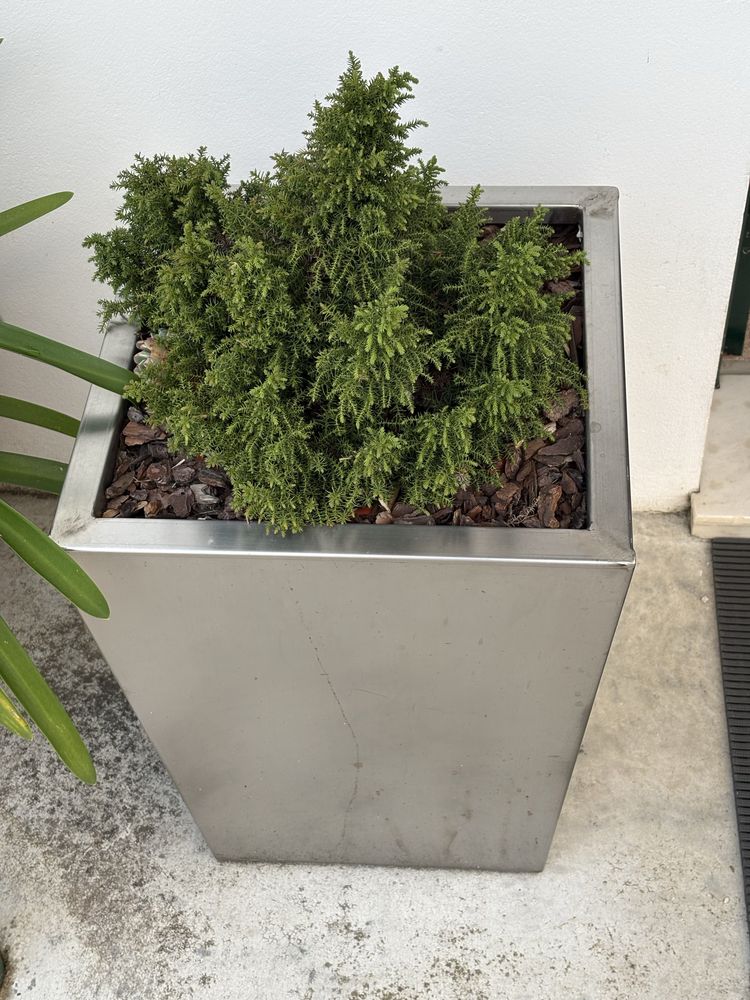 Vasos altos em inox