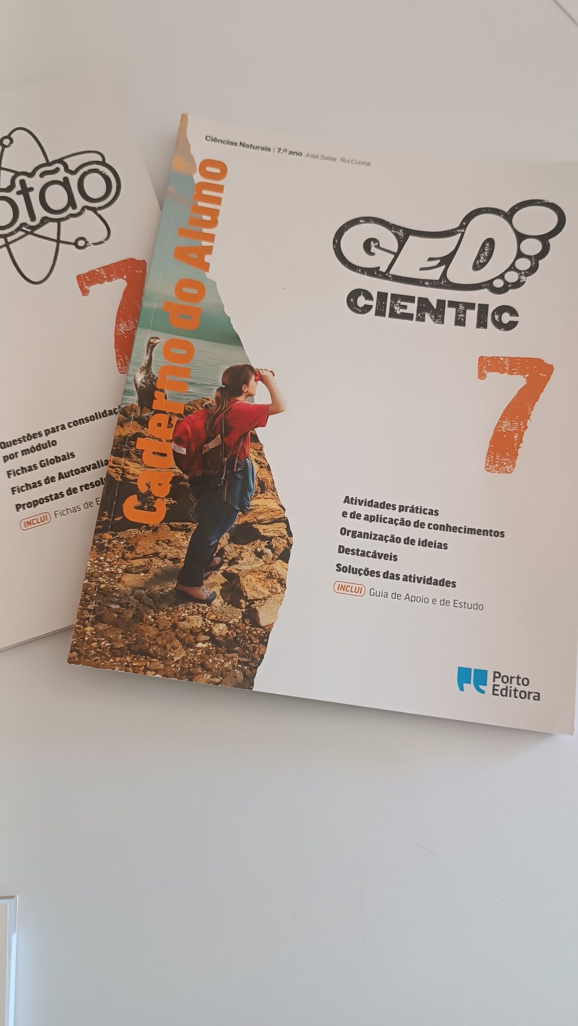 Livros de Fichas do 7 ano novos nem foram escritos