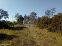 Terreno  para venda