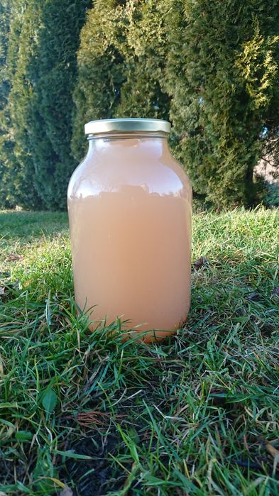 Ocet na pasożyty 750ml