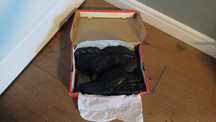Nike air max dn 43,44