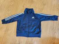 Bluza dresowa niemowlęca Adidas