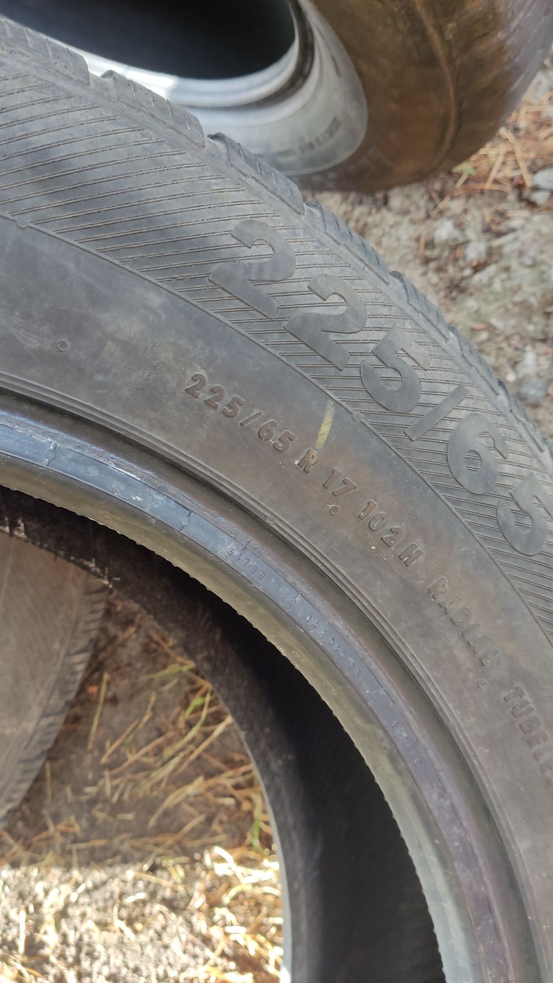 225/65r17 зимня, зима