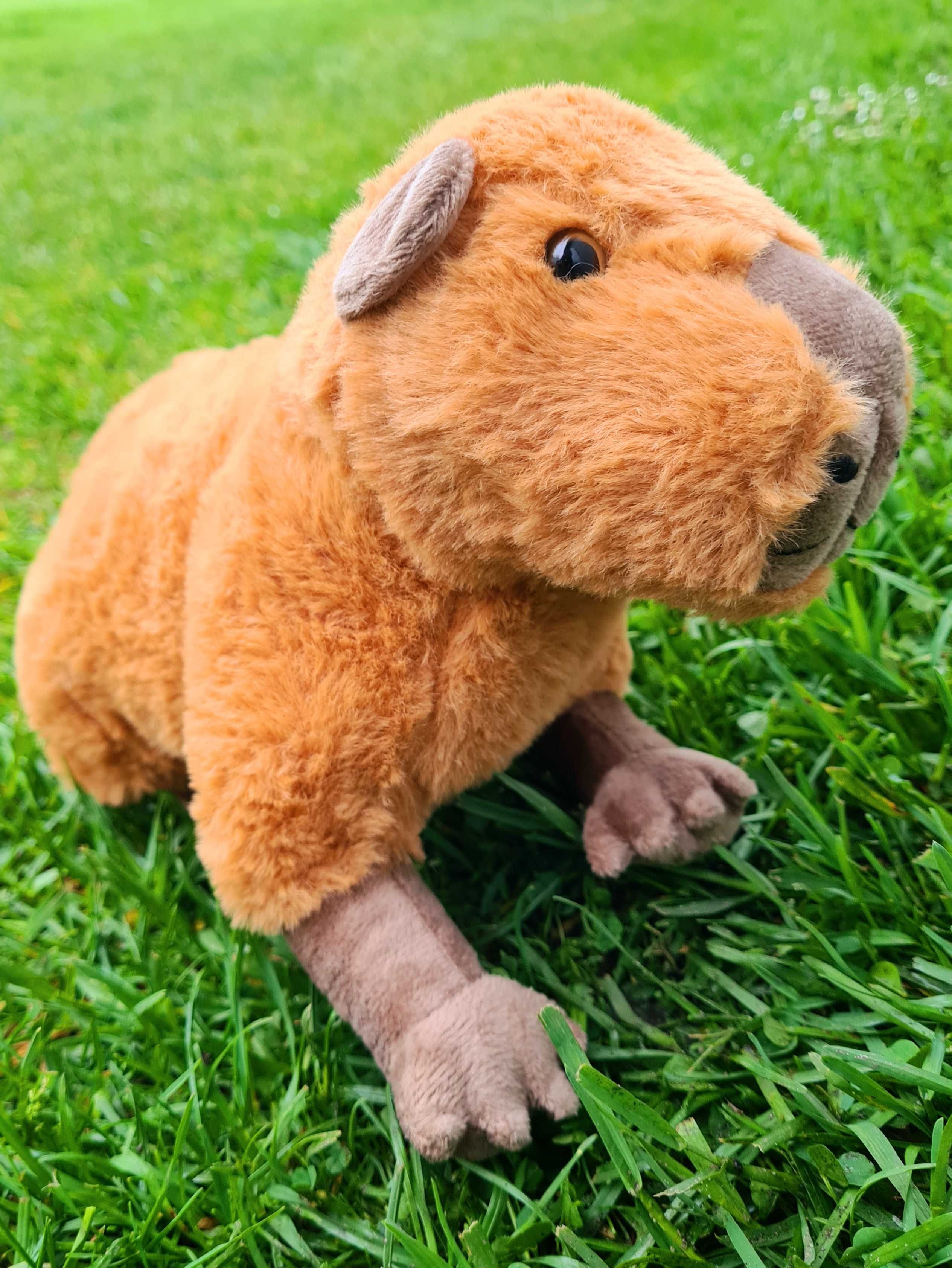 Milutka i wyjątkowa pluszowa maskotka - Kapibara 30 cm!
