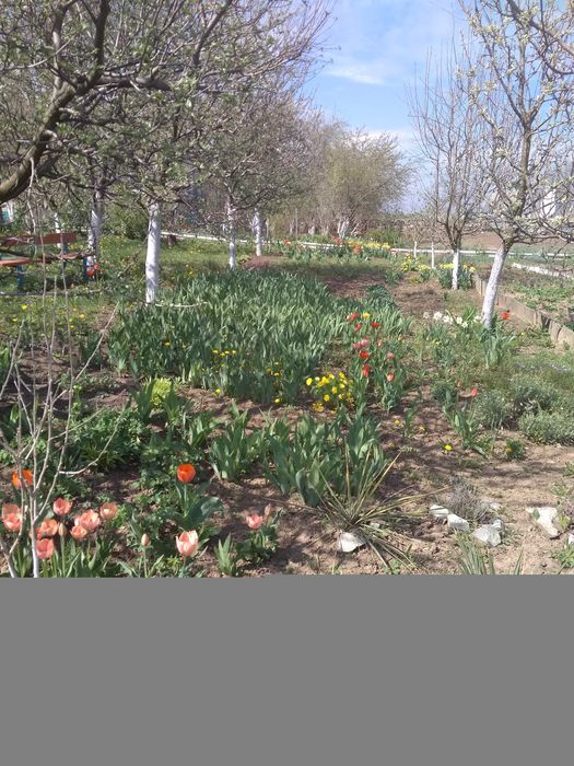 Два невеликих будинки  під дачу