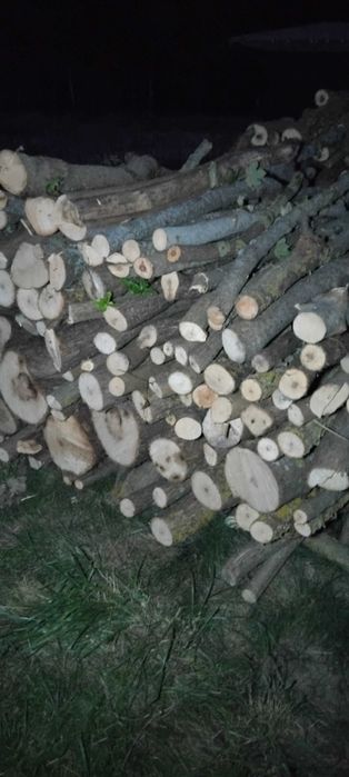 Drewno opałowe,sezonowane suche i świeże