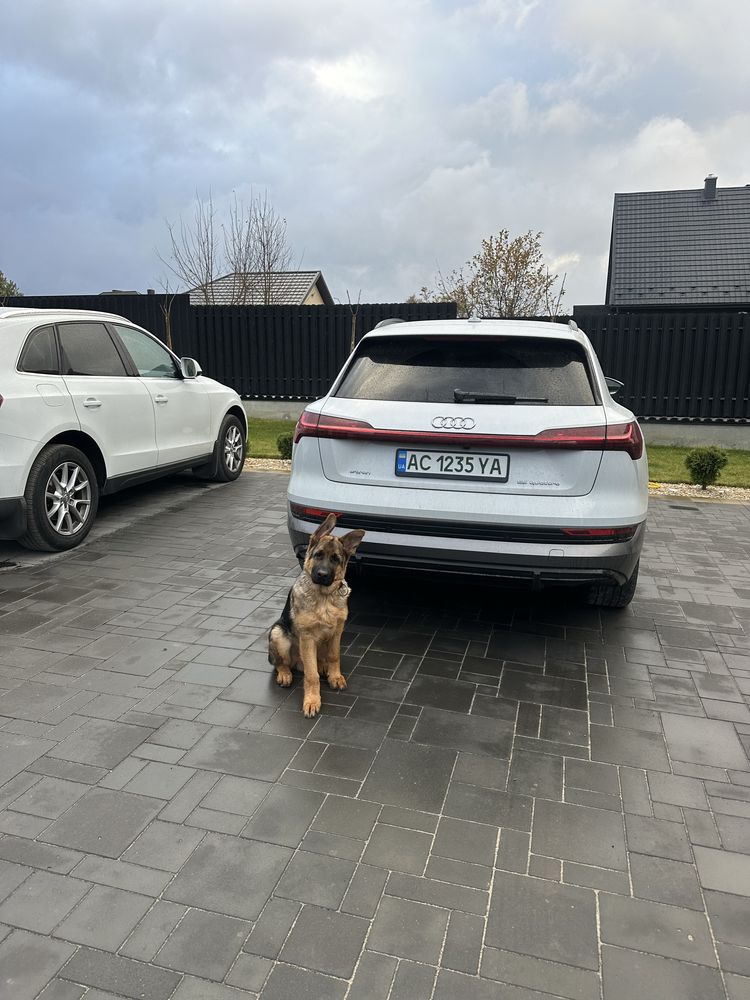 Audi e-tron 2021 95 kWh (408 к.с.) Quattro • S-Line