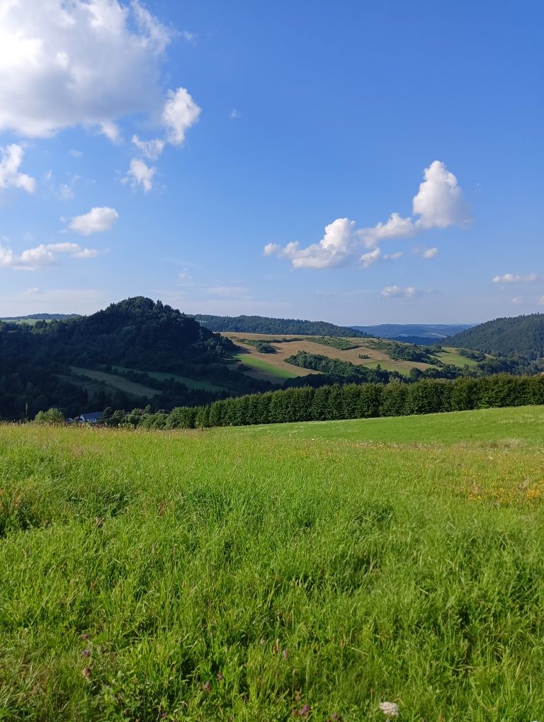 Bieszczady domek noclegi