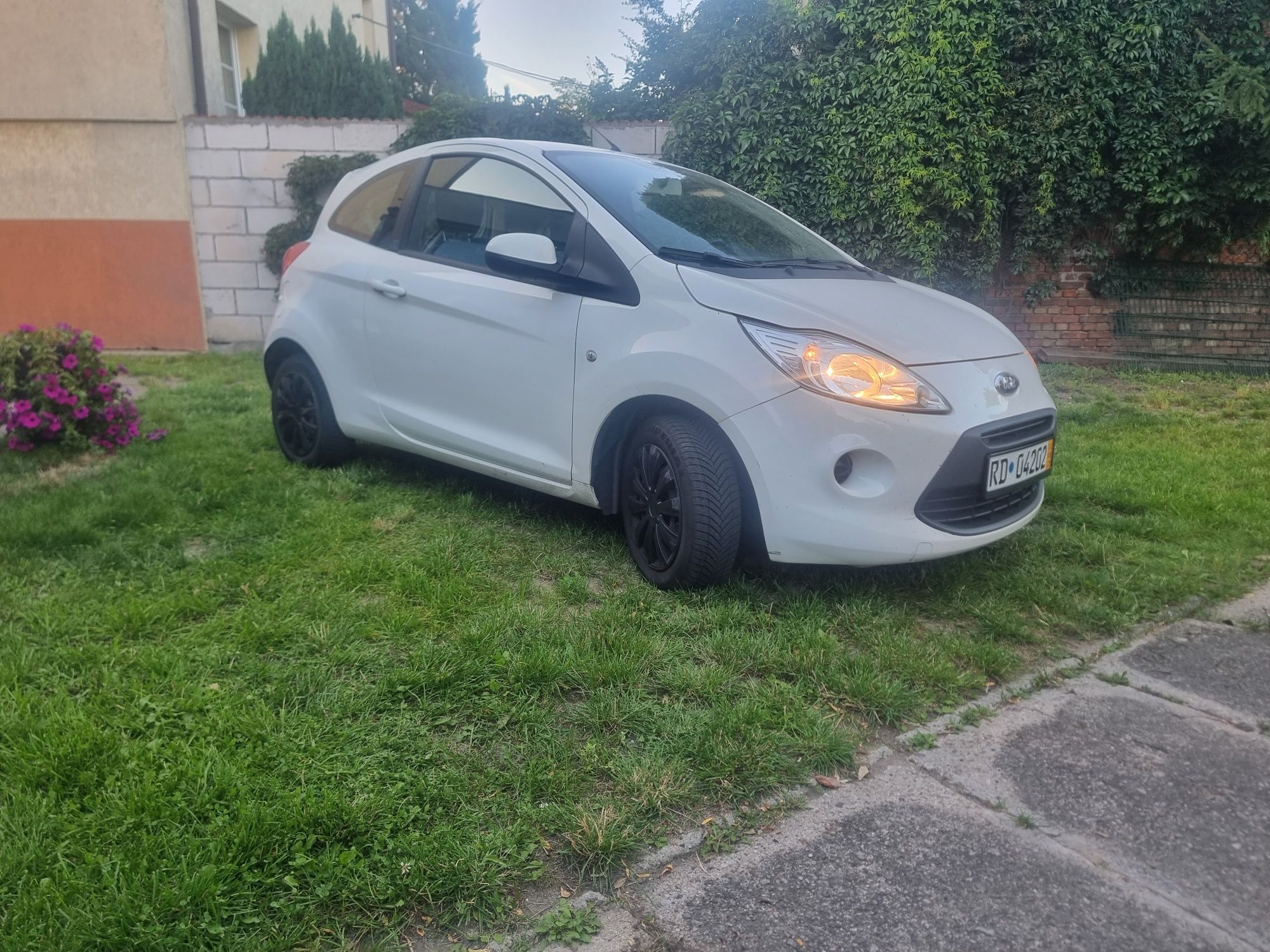 Ford Ka 1.2! Sprowadzony!