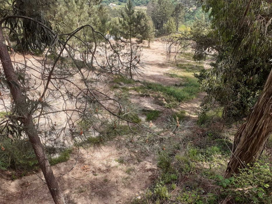 Terreno Amarante arrendar