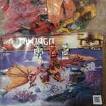LEGO ninjago 71753