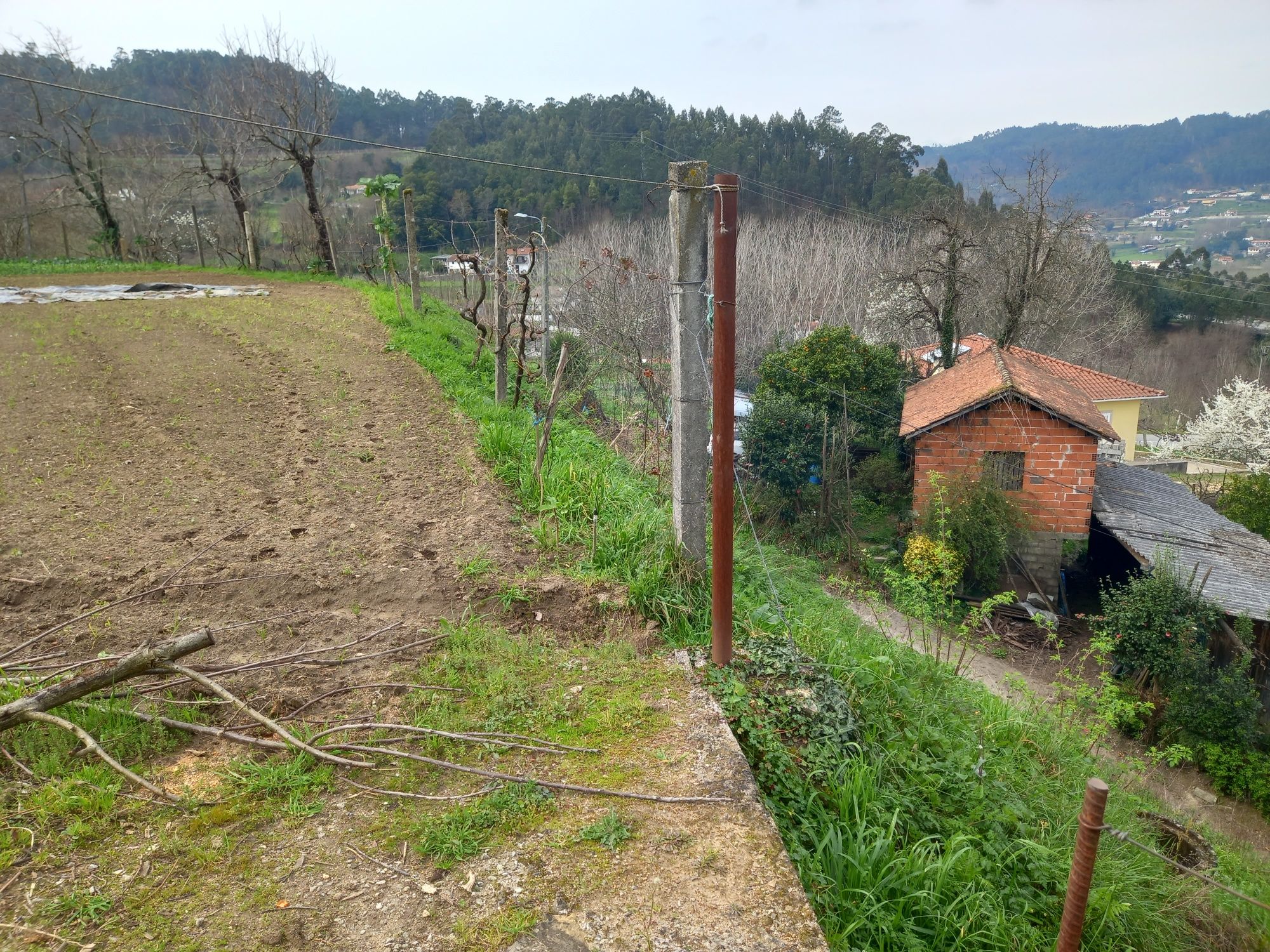 Vendo terreno para construção em Nogueiró, Arouca.