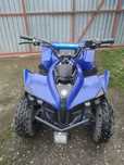 Електро Квадроцикл Опель ATV1000C 48в