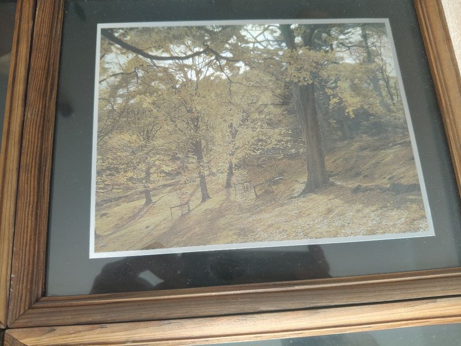 Obrazy krajobraz 23 /28 cm