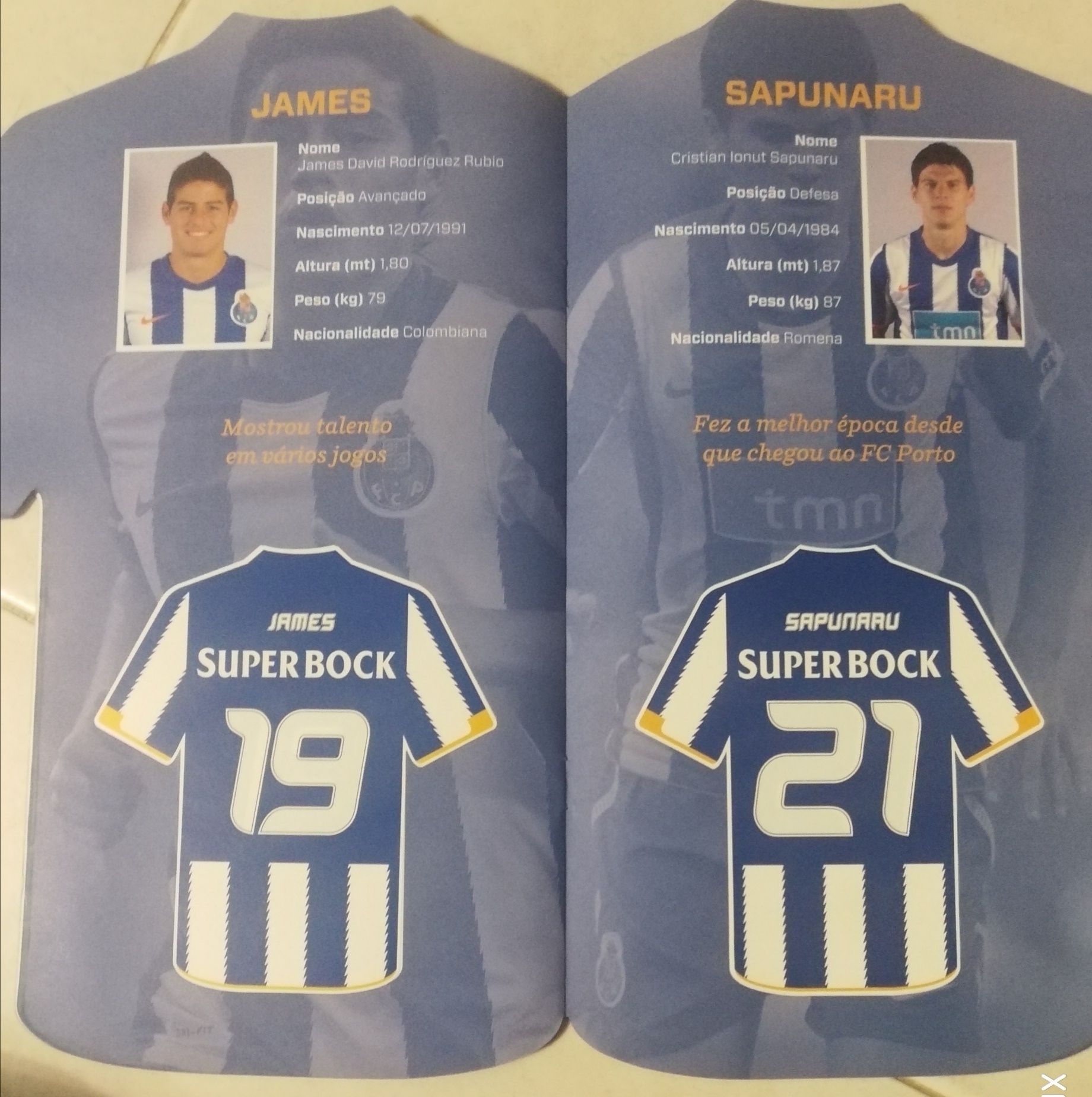 Caderneta FCPorto campeão