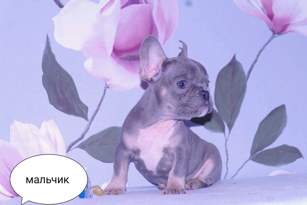 Супер детки ждут Вас