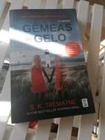 As Gémeas do Gelo - S.K. Tremayne