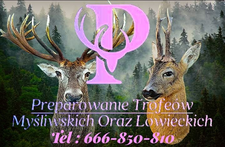 Preparowanie trofeów myśliwskich oraz łowieckich